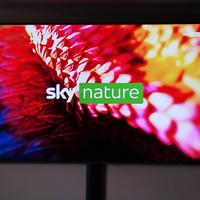 TV SAMSUNG 65 POLLICI 4K HDR SMART TV CRYSTAL 