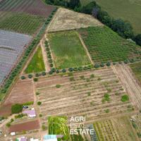 Cisterna di LT - Terreno 4 HA con kiwi | TR411