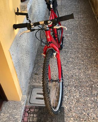 Mtb usata