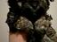 Immagine 3