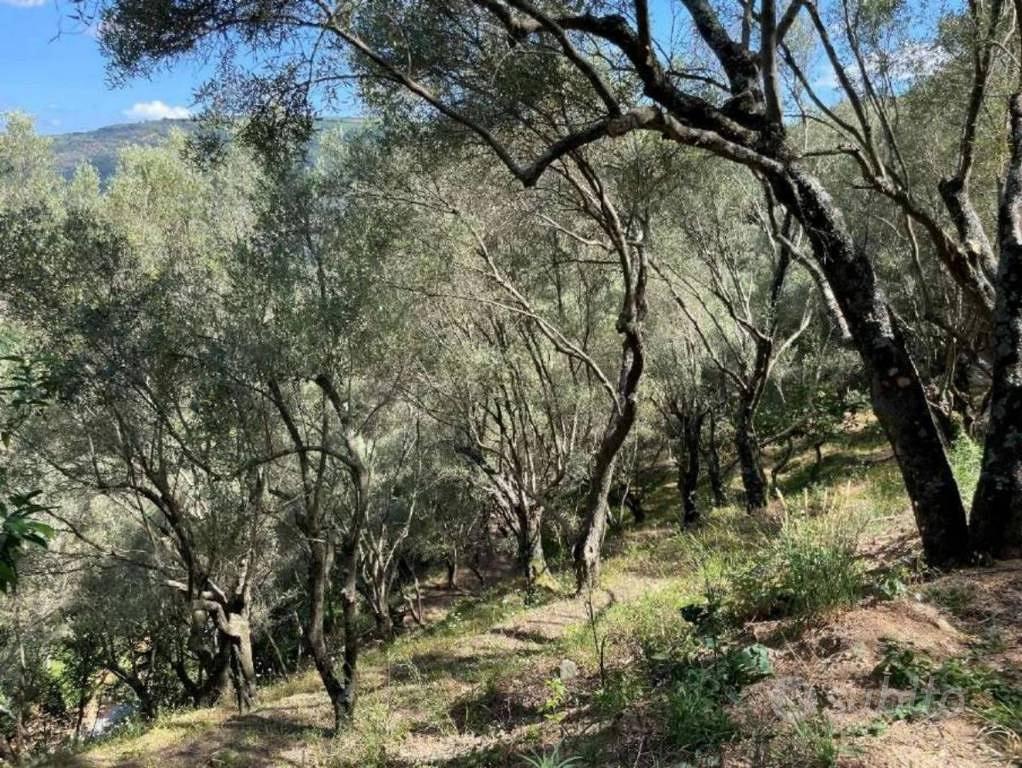 Appartamento – Galatro, Reggio Calabria - Altro