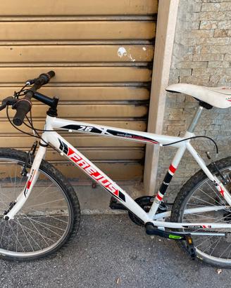 Mountain bike Frejus avant garde x26