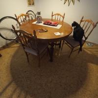 Tavolo in noce allungabile più cinque sedie
