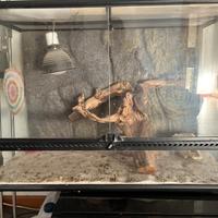 Terrario per rettili o roditori