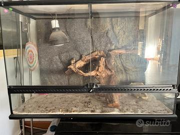 Terrario per rettili o roditori