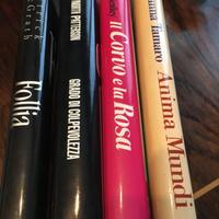 Romanzi vari (4 libri)