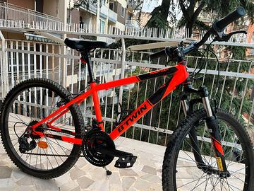 mountain bike BWIN