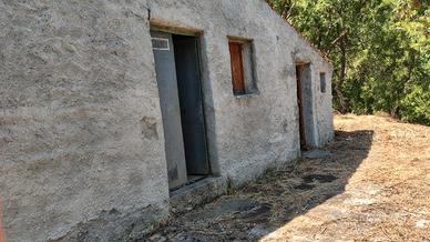 Terreno agricolo