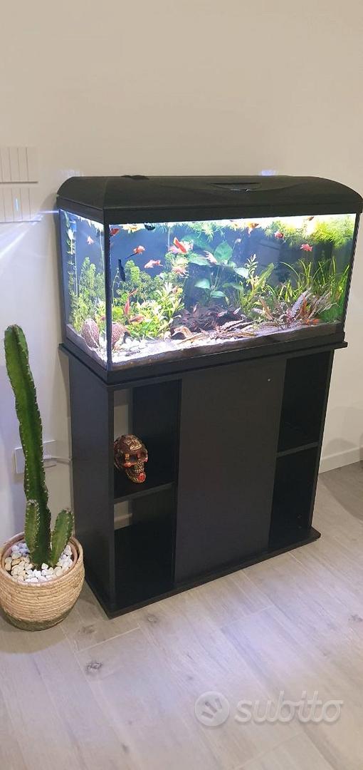 Acquario 80 litri con accessori - Accessori per animali In vendita