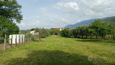 Terreno Agricolo