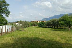 Terreno Agricolo