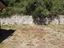 Immagine 18