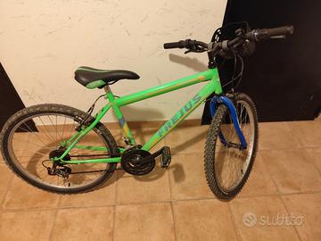 Bicicletta frejus