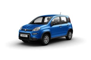 FIAT Panda NEW My24 1.0 70cv Hybrid