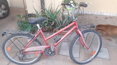 Biciclette usate