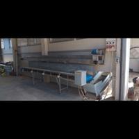 nastri trasportatori  ortaggi frutta verdura 