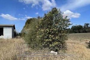 Terreno Agricolo San Sperate [A4331376]