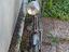 Immagine 2