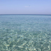 Salento Bilocale a lendinuso 100 metri dal mare