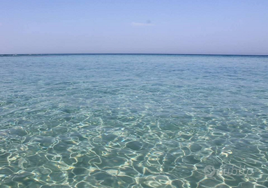 Salento Bilocale a lendinuso 100 metri dal mare