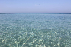 Salento Bilocale a lendinuso 100 metri dal mare