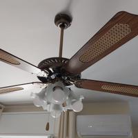 2 ventilatori da soffitto con 5 pale e  4 luci .