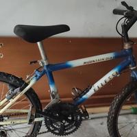 bicicletta per ragazzi/e