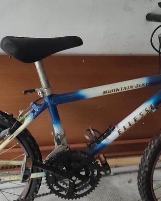 bicicletta per ragazzi/e