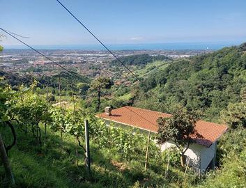 casa vigneto 