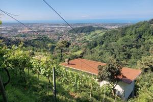 casa vigneto 