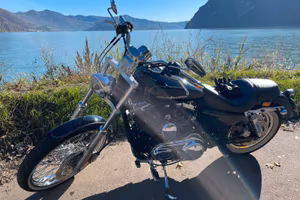 Harley Davidson Sportster 1200 Custom