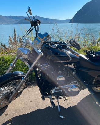 Harley Davidson Sportster 1200 Custom