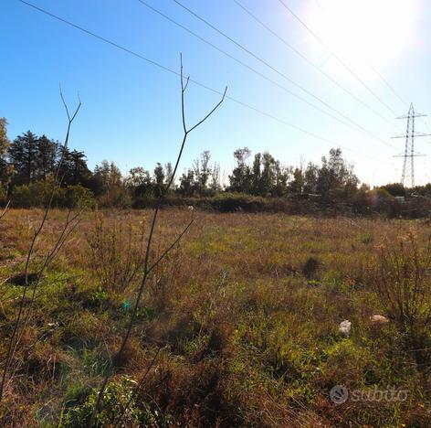 Terreno agricolo in zona periferica a Tortolì