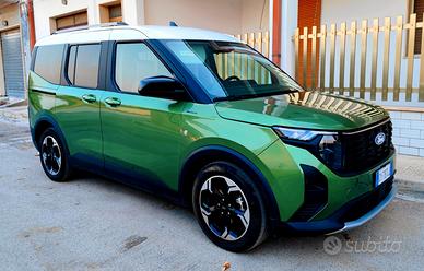 Ford tourneo active