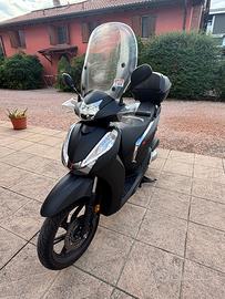HONDA SH300 Bologna