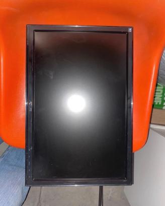 Monitor per pc LCD asus VW192 (19 pollici)