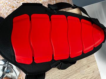 Paraschiena sci/snowboard Dainese