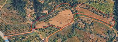 Terreno con fabbricati