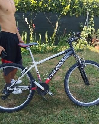 mountain bike