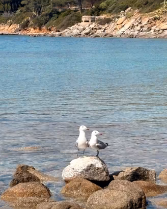 Casa vacanze sardegna a 100 m dal mare - 6 posti