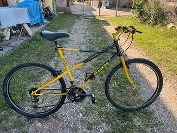 Bianchi ragno