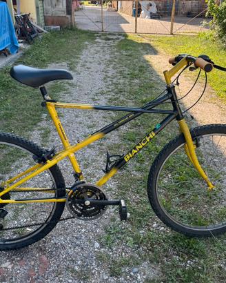 Bianchi ragno