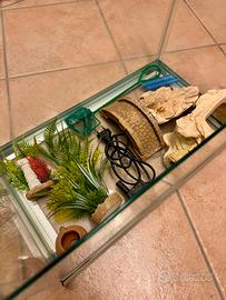 Box in vetro per tartarughe 🐢