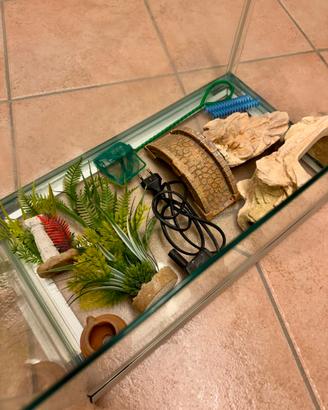 Box in vetro per tartarughe 🐢