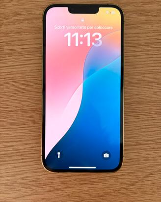 Iphone 13 pro 128gb oro scocca posteriore rotta