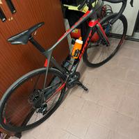 Giant tcr disc
