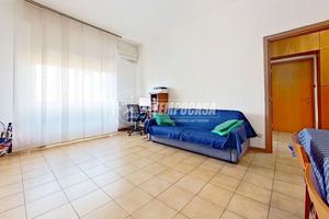 Bilocale confortevole con ampio soggiorno!