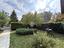 Immagine 26