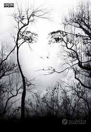 Impiegata addetta alla contabilita' e alle dichiar