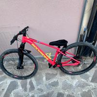 Mtb rockrider xc 120